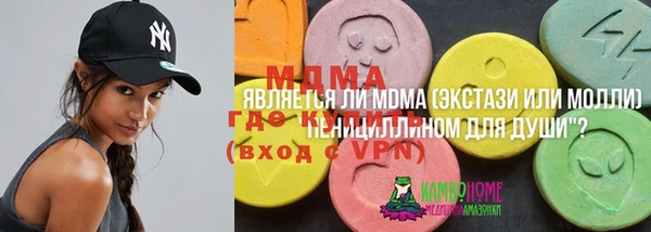 твердый Горняк