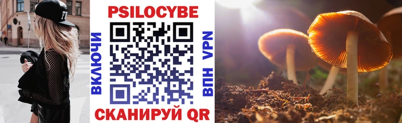 цена   Железноводск  Псилоцибиновые грибы Psilocybe 